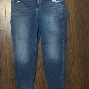 American Eagle Outfitters Women's Indigo Skinny Jeans